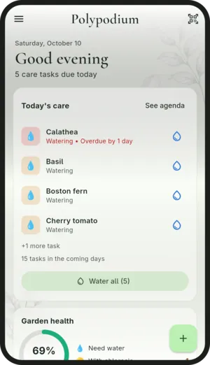 Polypodium's home screen: today's care with watering for calathea, basil, Boston fern and cherry tomato, and the garden health