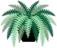 Logo do Polypodium, uma samambaia estilizada